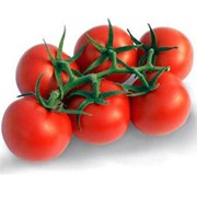 İyi Tarım Salkım Domates Kg