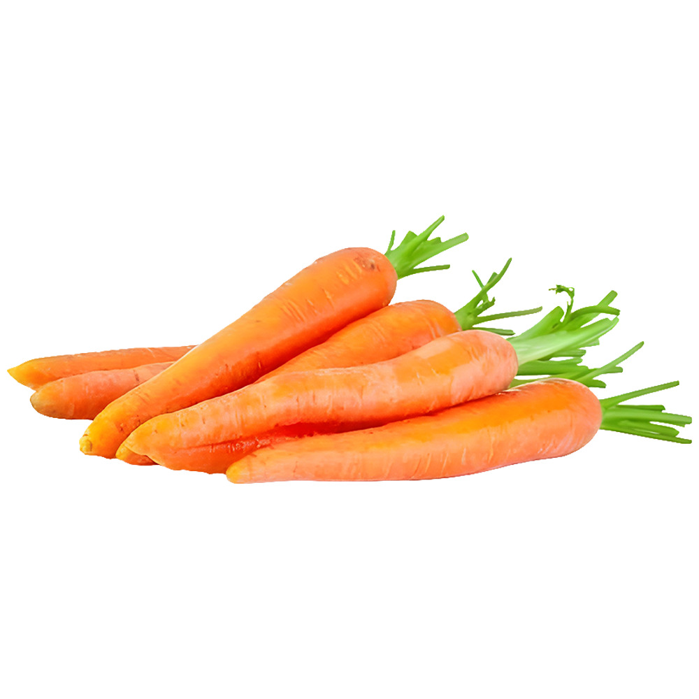 Havuç Kg.
